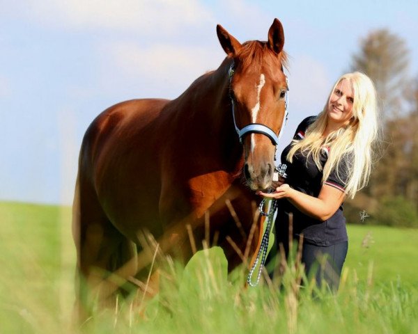 dressage horse Quel Cadeau (German Sport Horse, 2019, from Quaterback)