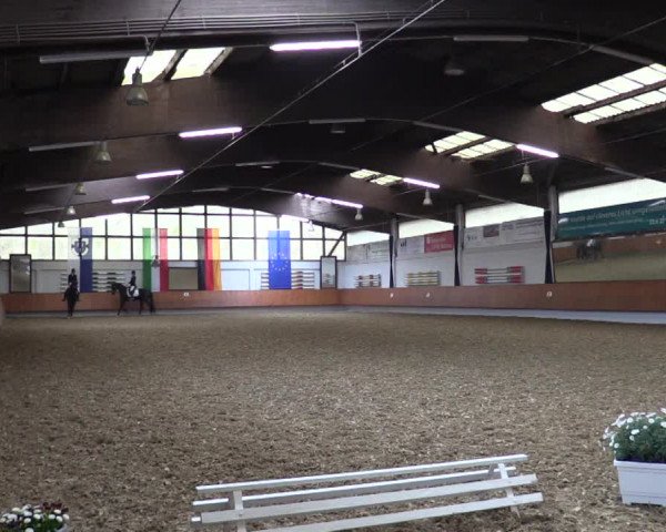 Reitturnier Bottrop 2019
