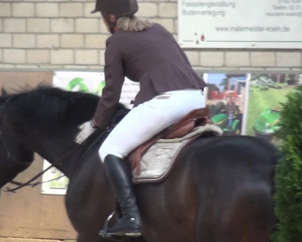 Reitturnier Leverkusen-Rheindorf 2019