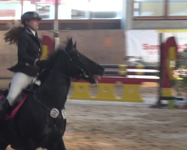 Reitturnier Leverkusen-Rheindorf 2019