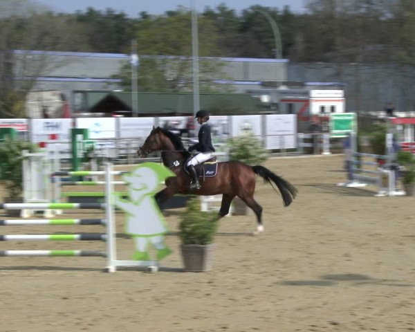 Reitturnier Schloß Holte 2019