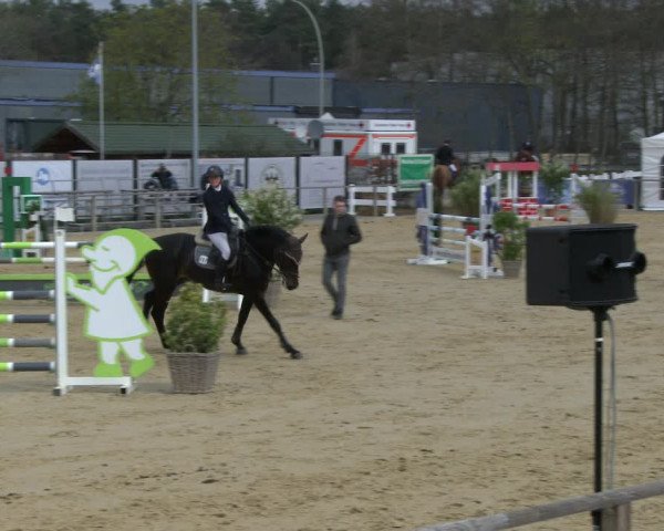Reitturnier Schloß Holte 2019