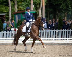 dressage horse Scarlett O'Hara NRW (Westphalian, 2015, from Scuderia)