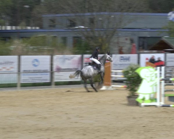 Reitturnier Schloß Holte 2019