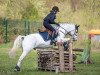 jumper Waldhof’s Picasso (German Riding Pony, 1998, from Pepe)