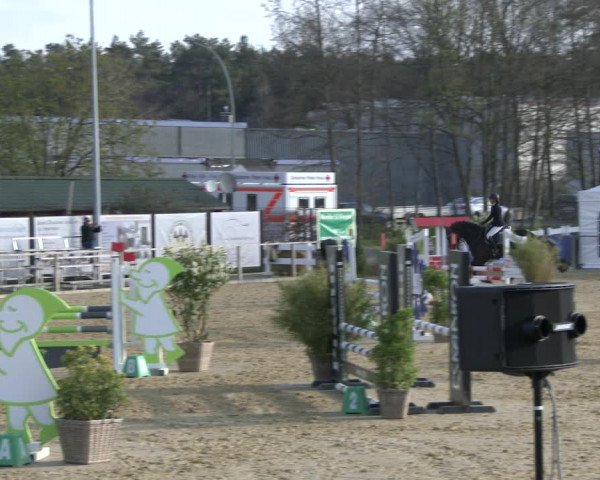 Reitturnier Schloß Holte 2019