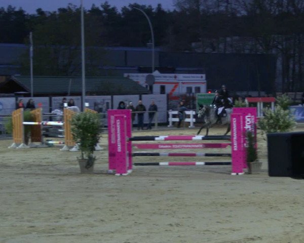 Reitturnier Schloß Holte 2019