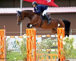 jumper Calmine (Hanoverian, 2007, from Calme)