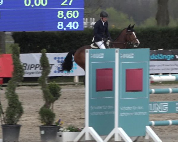 Reitturnier Werne-Lenklar 2019