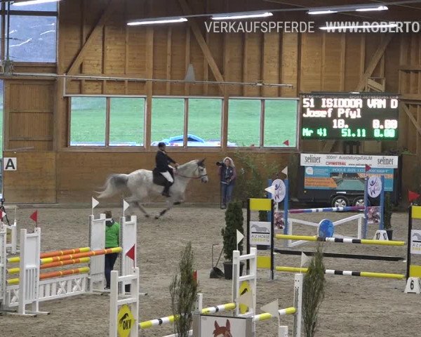 Reitturnier Rüti 2019