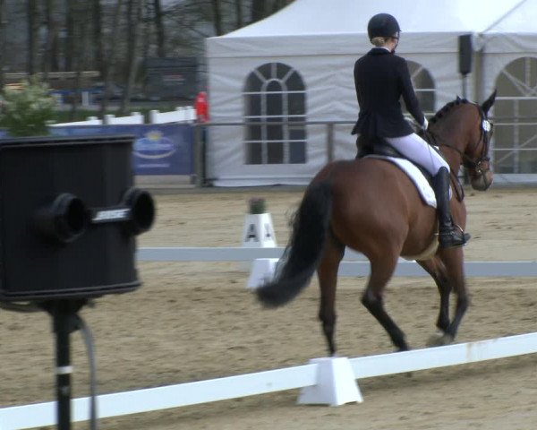Reitturnier Schloß Holte 2019