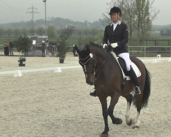 Reitturnier Achern 2019