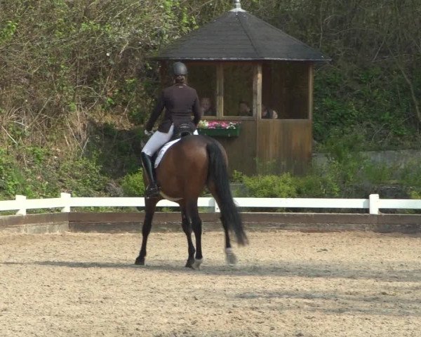 Reitturnier Mettmann - Reitanlage Löckenhoff 2019