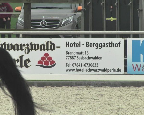Reitturnier Achern 2019