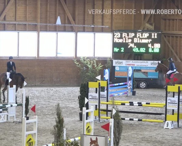 Reitturnier Rüti 2019
