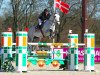 Springpferd As de Papignies (Belgium Sporthorse, 2006, von Kashmir van't Schuttershof)