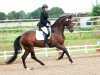 broodmare Lilly Lady (Oldenburg, 2010, from L'espoir)