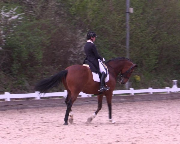 Reitturnier Mettmann - Reitanlage Löckenhoff 2019