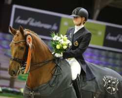 dressage horse Expression (Westphalian, 2005, from Sibirian Express)