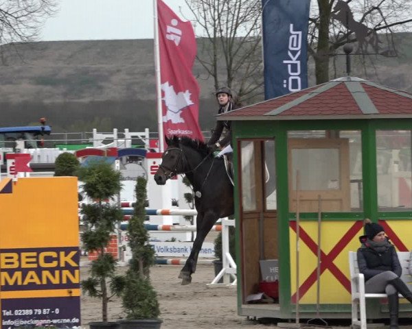 Reitturnier Werne-Lenklar 2019