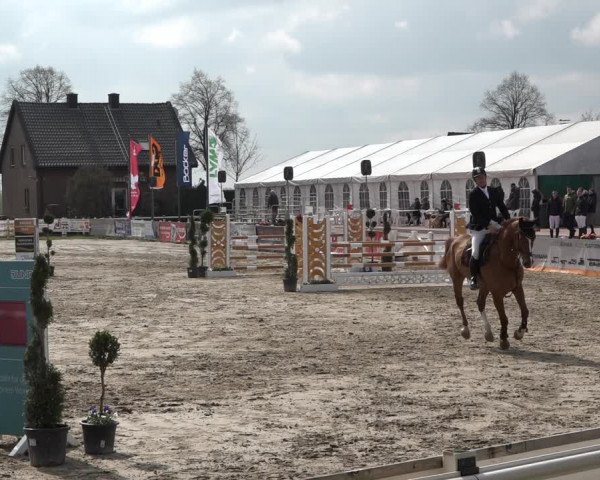 Reitturnier Werne-Lenklar 2019