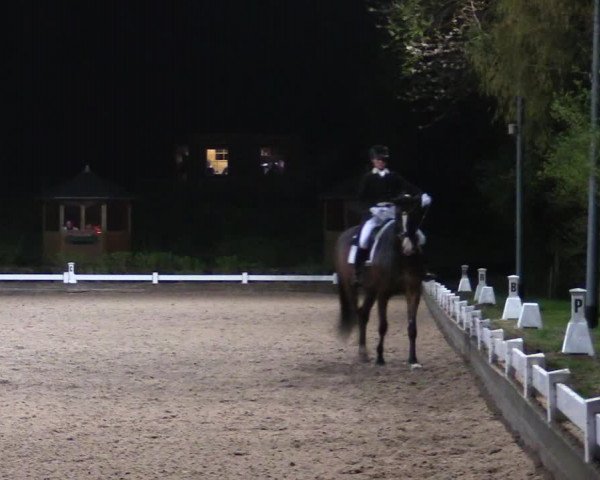 Reitturnier Mettmann - Reitanlage Löckenhoff 2019
