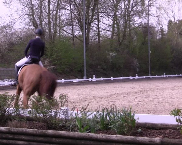 Reitturnier Mettmann - Reitanlage Löckenhoff 2019