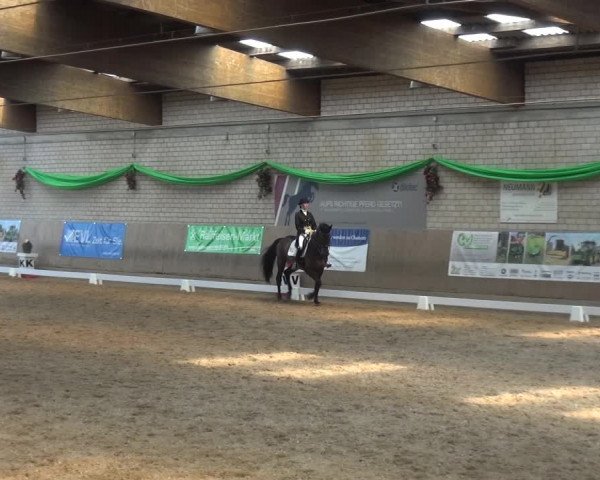 Reitturnier Leverkusen-Rheindorf 2019