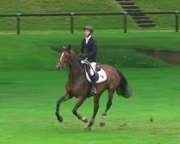 Springpferd Betina D'Eglefin (Selle Français, 2011, von Sire Jag de Courthoe)