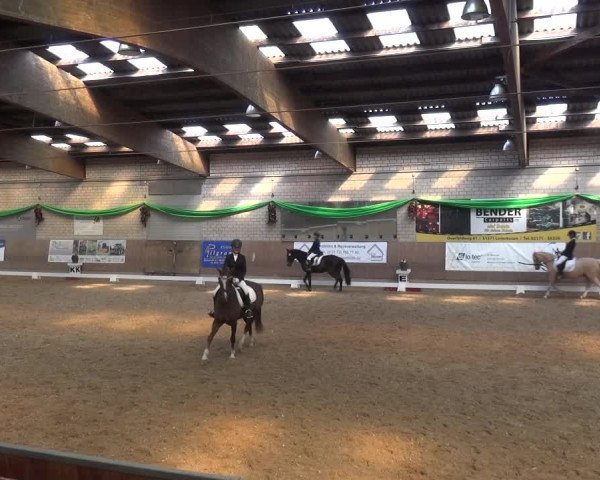 Reitturnier Leverkusen-Rheindorf 2019