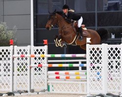 jumper Fiona V/h Lemmenshof (Belgian Warmblood, 2005, from Nonstop)