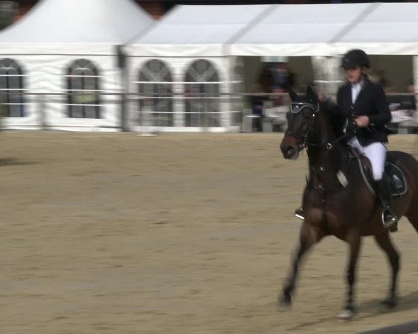 Reitturnier Schloß Holte 2019