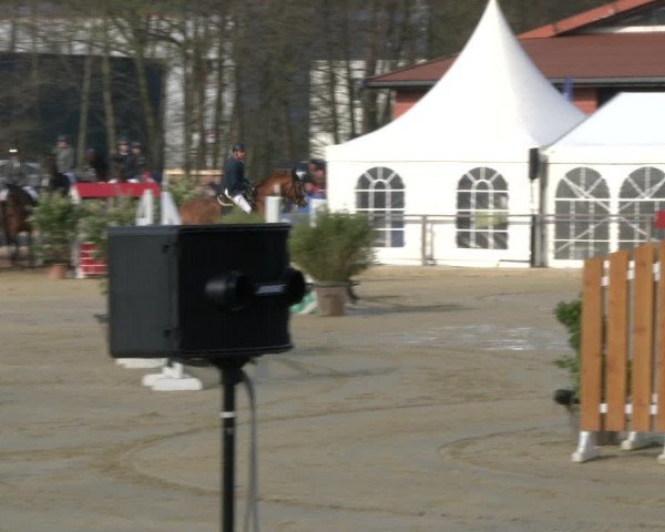 Reitturnier Schloß Holte 2019