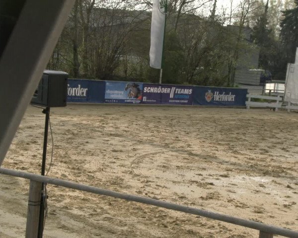 Reitturnier Schloß Holte 2019