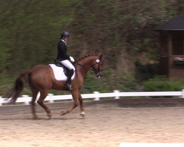 Reitturnier Mettmann - Reitanlage Löckenhoff 2019