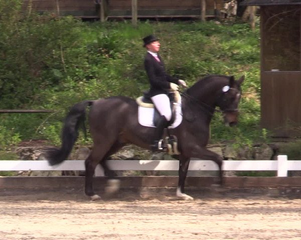 Reitturnier Mettmann - Reitanlage Löckenhoff 2019