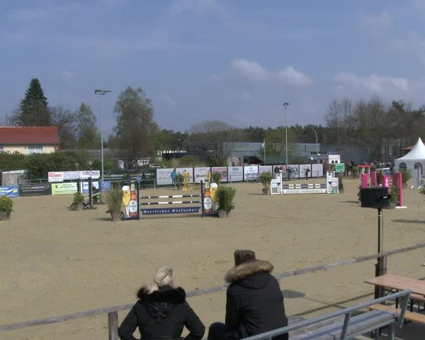 Reitturnier Schloß Holte 2019