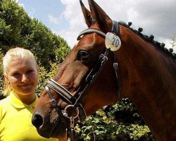 jumper Dakota 357 (KWPN (Royal Dutch Sporthorse), 2008, from King Kolibri)