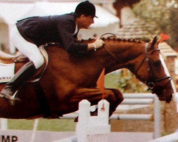 stallion Rheal (Selle Français, 1983, from Leprince de Thurin)