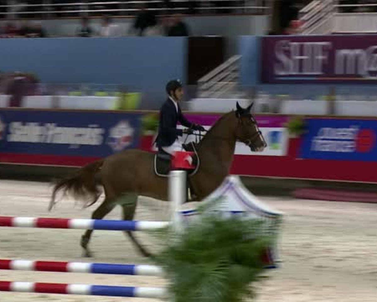 Springpferd Mullentine Cash Flow (Irish Sport Horse, 2008, von Jaguar Mail)