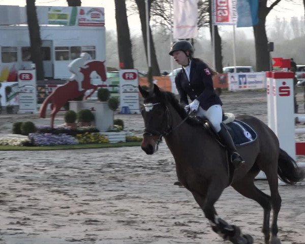 Reitturnier Werne-Lenklar 2019