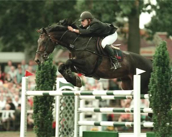 stallion Leon (Hanoverian, 1989, from Leuthen I)