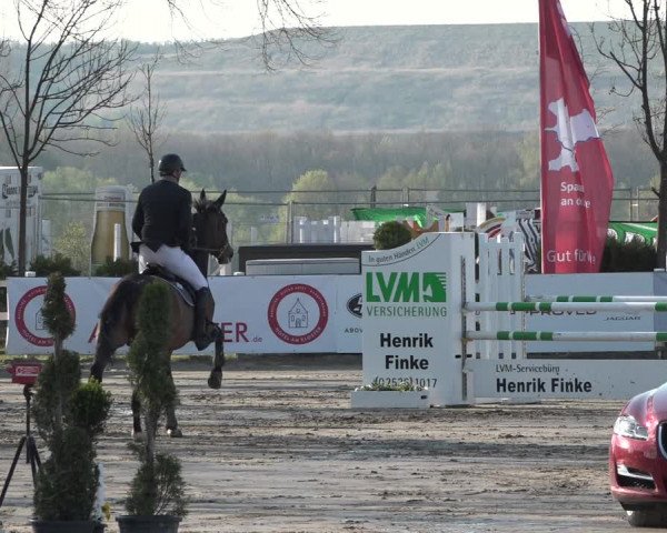 Reitturnier Werne-Lenklar 2019