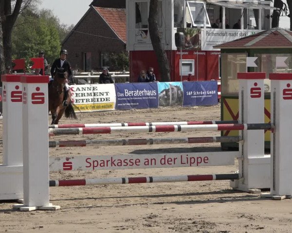Reitturnier Werne-Lenklar 2019