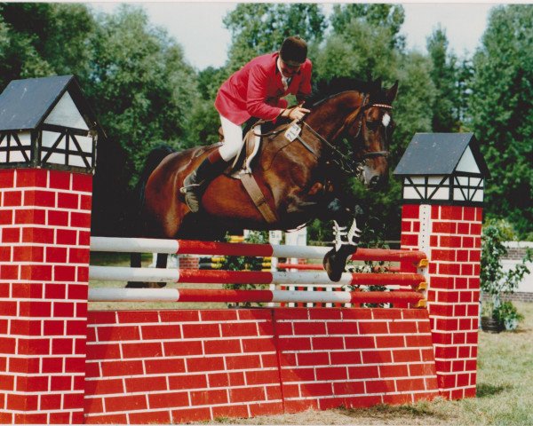 Pferd Ramon 1980 (Oldenburger, 1980, von Romanow)