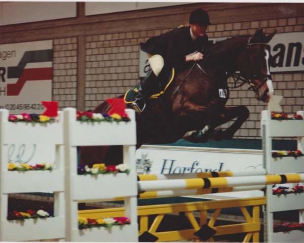 Pferd GG Gratulant (Holsteiner, 1992, von Grundyman xx)