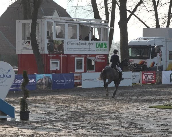 Reitturnier Werne-Lenklar 2019