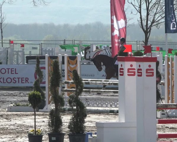 Reitturnier Werne-Lenklar 2019
