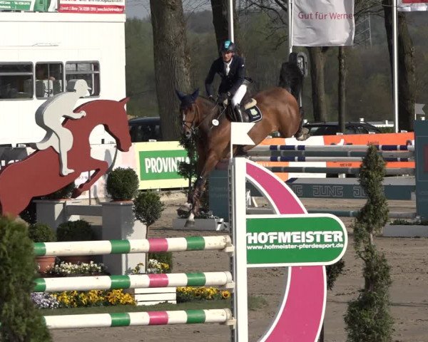 Reitturnier Werne-Lenklar 2019