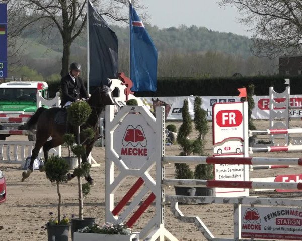 Reitturnier Werne-Lenklar 2019